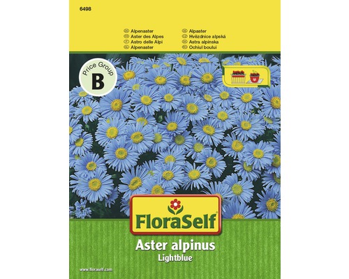Alpenaster 'Lightblue' FloraSelf samenfestes Saatgut Blumensamen