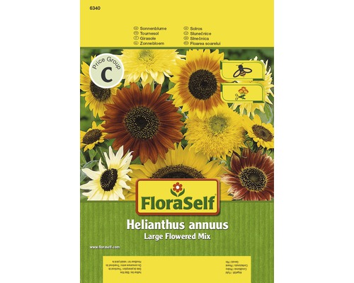 Sonnenblume 'Large Flowered Mix' FloraSelf samenfestes Saatgut Blumensamen