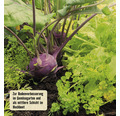 Gemüse- & Hochbeetkompost FloraSelf Nature 40 L