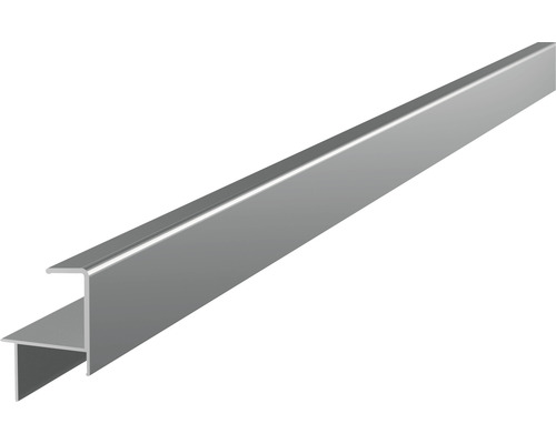Abschlussschiene silber für Dielenstärke 25-26 mm 2x35,6x52,2x4000 mm
