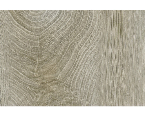 Regalboden Sanox 35x40 cm für Stahlrahmen grain oak