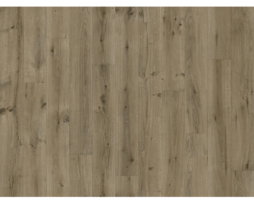 PVC-Boden Jackson Holz sweet oak eiche 196M 300 cm breit (Meterware)