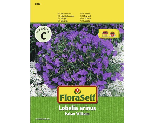 Männertreu ‘Kaiser Wilhelm‘ FloraSelf samenfestes Saatgut Blumensamen