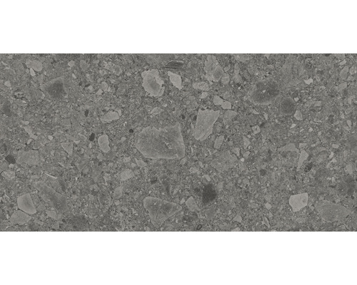 Feinsteinzeug Bodenfliese Donau 30,0x60,0 cm grau matt rektifiziert-0