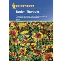 Gründünger Kiepenkerl Boden-Therapie Blumen-Mix 10 g-thumb-0