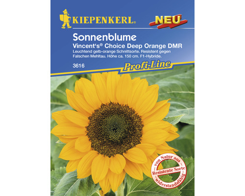 Blumensamen Kiepenkerl Sonnenblume 'Vincent's® Choice Deep Orange'