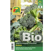 Gemüsesamen Austrosaat Broccoli 'Calabrese Natalino'-thumb-0