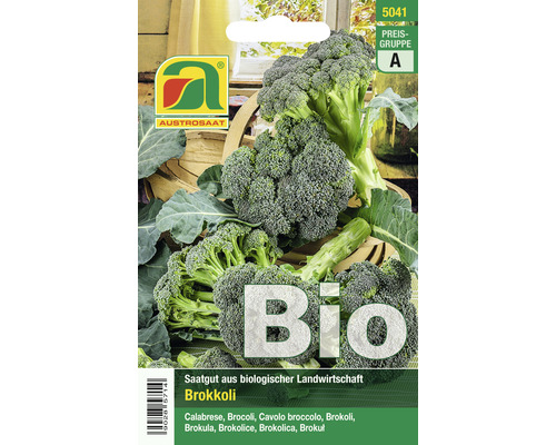 Gemüsesamen Austrosaat Broccoli 'Calabrese Natalino'-0