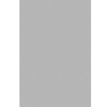 Spanplatte beschichtet Platte melaminharzbeschichtet grau aluminium 2800 x 2070 x 19 mm-thumb-2