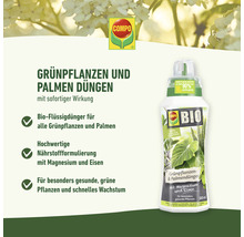 Grünpflanzen- & Palmendünger Compo Bio 500 ml-thumb-6