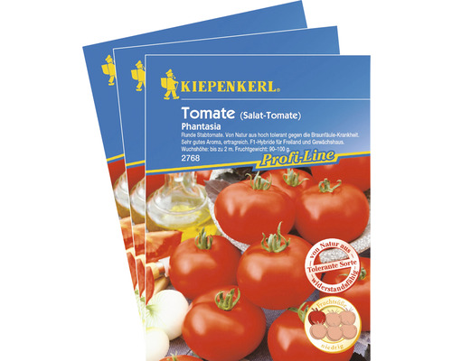 Salat-Tomate Phantasia F1 Gemüsesamen Kiepenkerl krankheitstolerant, 3er-Vorteils-Pack