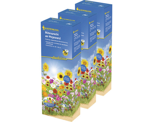 Blumenwiesensamen 'Blütenpracht am Wegesrand' Kiepenkerl Profi-Line, 3er-Vorteilspack für 120 m²