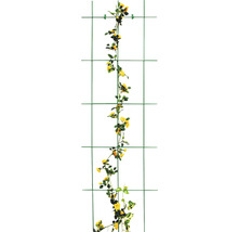 Gitterspalier 45 x 150 cm, grün-thumb-3