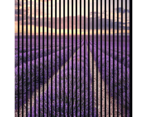 Akustikpaneel digital bedruckt Lavendel 1 19x1133x1195 mm Set = 2 Einzelpaneele