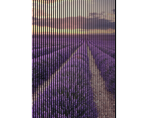 Akustikpaneel digital bedruckt Lavendel 1 19x1693x2400 mm Set = 3 Einzelpaneele