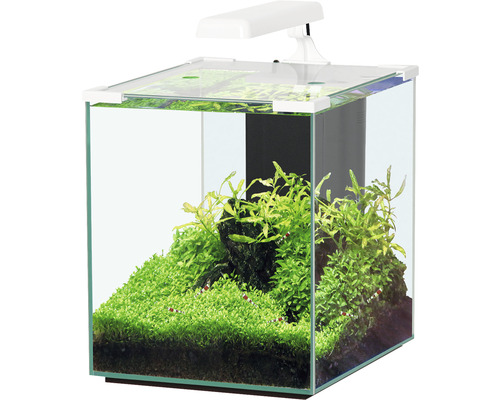 Aquarium aquatlantis Nano Cubic 30 mit Frostglasrückseite, LED-Beleuchtung, Filter, Heizer, Pumpe weiß (ohne Schrank)
