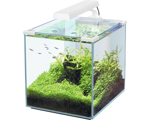 Aquarium aquatlantis Nano Cubic 30 mit LED-Beleuchtung, Filter, Heizer weiß