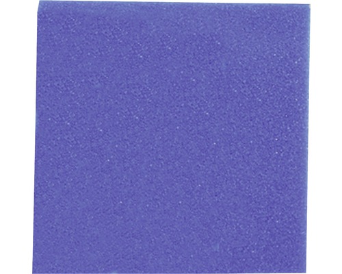 JBL Filterschaum grob 50 x 50 x 5 cm, blau