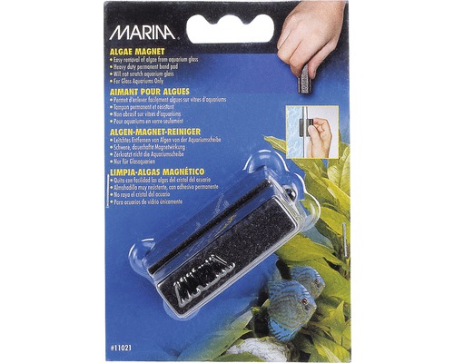 Algen-Magnet Marina klein 6 x 2,6 x 3,5 cm
