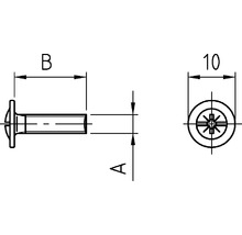 Flachrundschraube Pozidriv 4x18 mm, galv. verzinkt, 100 Stück-thumb-2