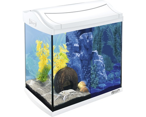 Aquarium AquaArt Discovery 30 l mit LED-Beleuchtung, Filter ohne Unterschrank weiß jetzt kaufen bei HORNBACH.at