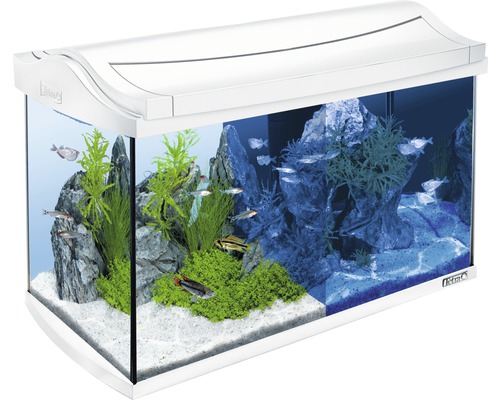Aquarium Tetra AquaArt Discovery Line 60 l mit LED-Beleuchtung, Filter, Heizer, Wasseraufbereiter, Futter ohne Unterschrank weiß