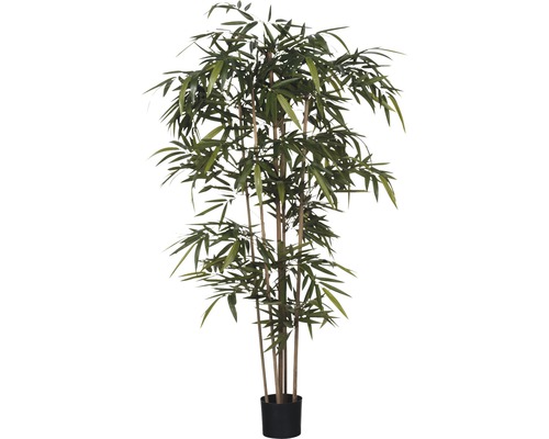 Kunstpflanze Bambus Ø 75 cm Höhe: 180 cm grün