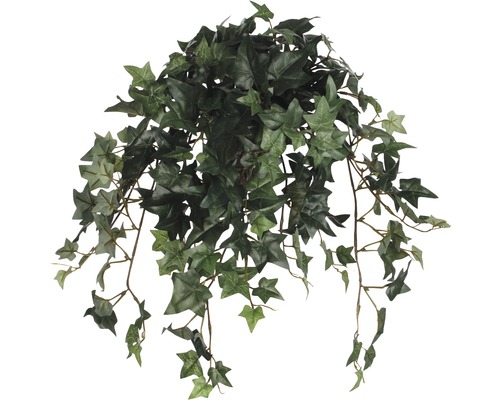 Kunstpflanze Efeu Höhe Höhe: 25 cm grün