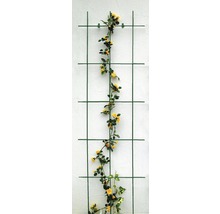 Gitterspalier 45 x 150 cm, grün-thumb-0