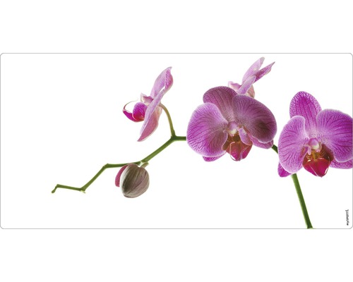 Badrückwand mySpotti Aqua Orchidee pink 900x450x2 mm 150908 weiß pink