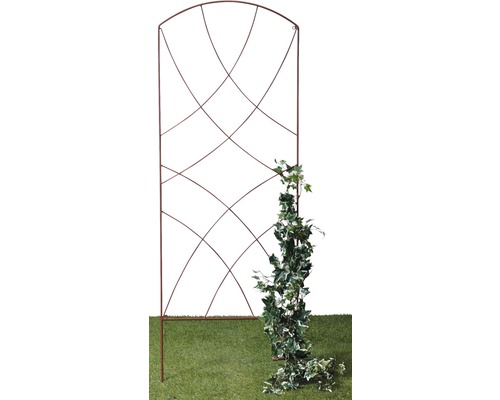 Zierspalier Ilian 55x150 cm, Naturrost