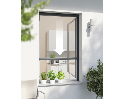 Insektenschutz-Rollo-Fenster PLUS anthrazit 160x160 cm