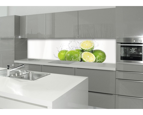 Küchenrückwand mySpotti profix Aqua-Limette 600x2200x2 mm